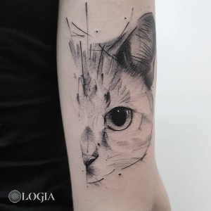 Tatuaje gato sketch en el brazo Dani Bastos